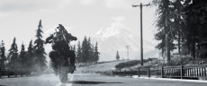 Days Gone, Steam Gift