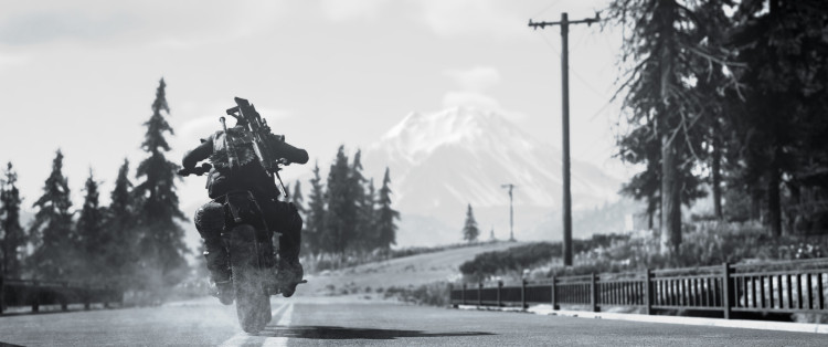 Days Gone, Steam Gift