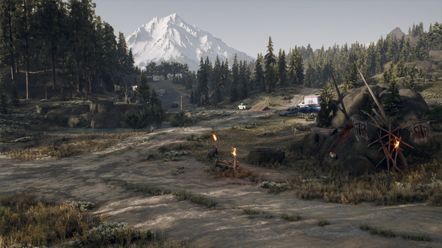 Days Gone, Steam Gift
