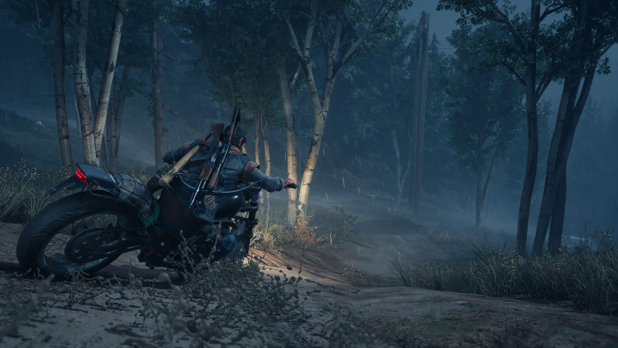 Days Gone, Steam Gift