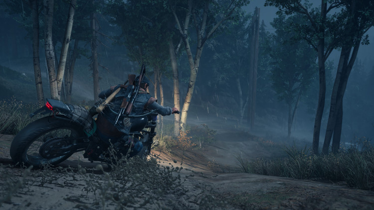 Days Gone, Steam Gift