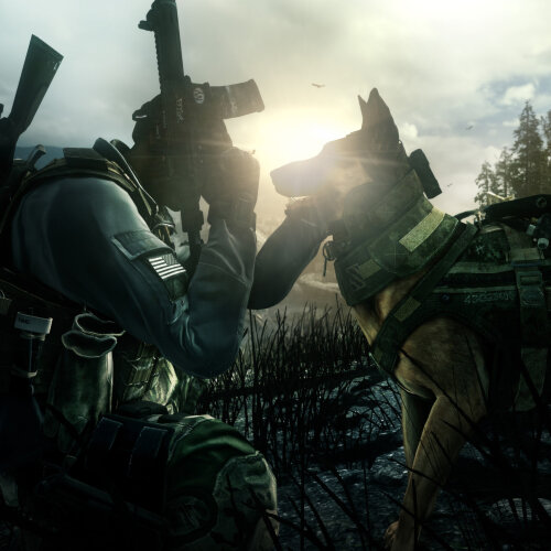 Игра Call of Duty Franchise Collection Steam Gift СНГ без РФ и БЛ + КАЗАХСТАН