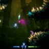 Ori and the Will of the Wisps Xbox + PC