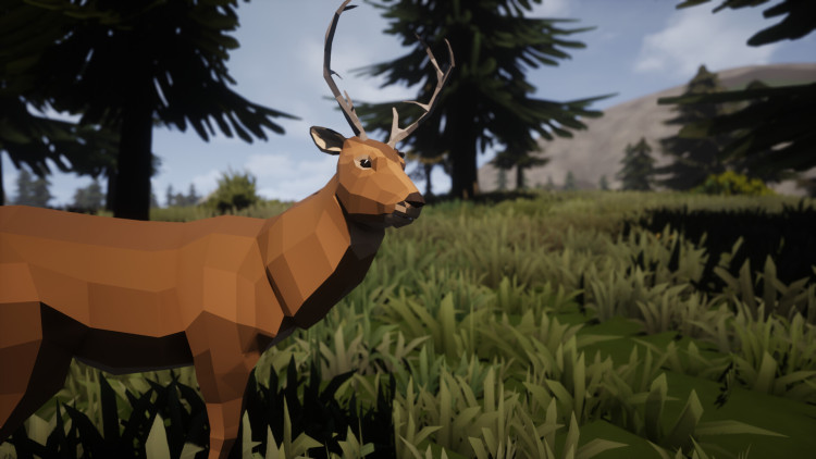 SurrounDead, Steam Gift