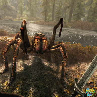 The Elder Scrolls V: Skyrim Anniversaly Edition