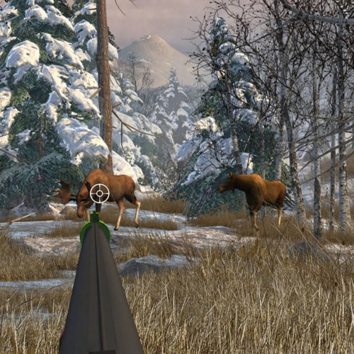 Big Buck Hunter Arcade