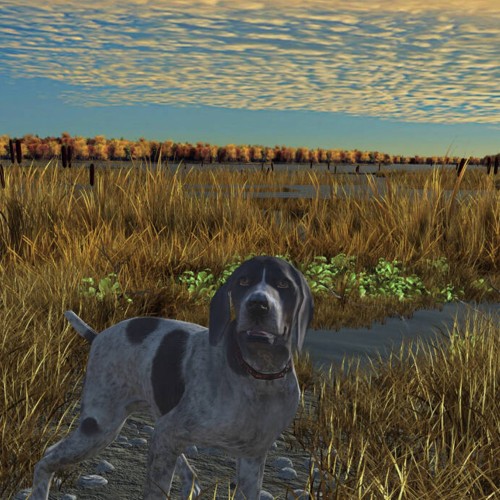 Big Buck Hunter Arcade