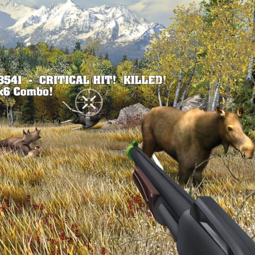 Big Buck Hunter Arcade