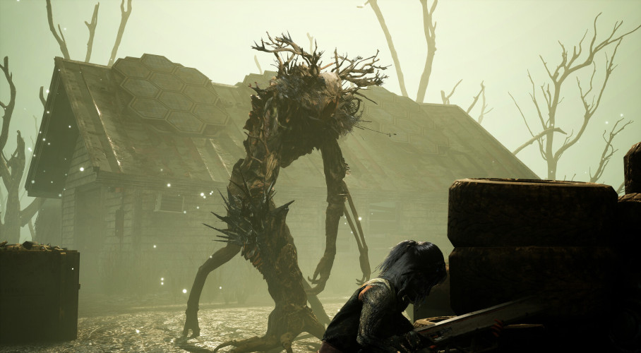 Miasma Chronicles, Steam Gift