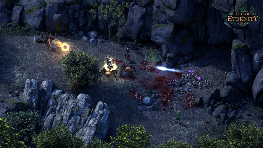 Pillars of Eternity - Definitive Edition, Steam Gift