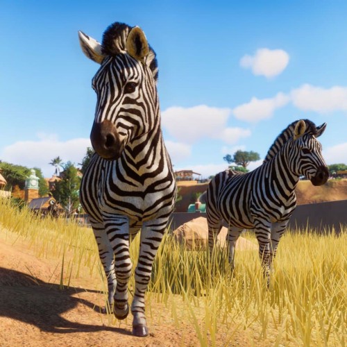 Игра Planet Zoo для PC / ПК, активация в стим Steam для региона РФ / Россия цифровой ключ