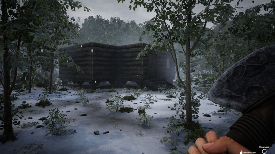 The Infected, Steam Gift