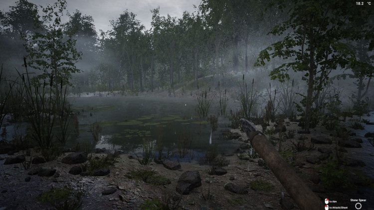 The Infected, Steam Gift