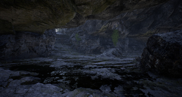 The Infected, Steam Gift