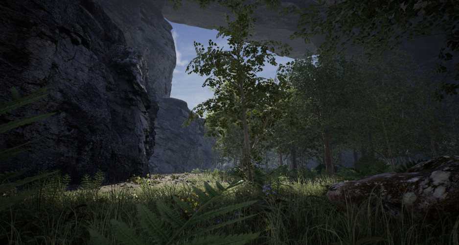 The Infected, Steam Gift