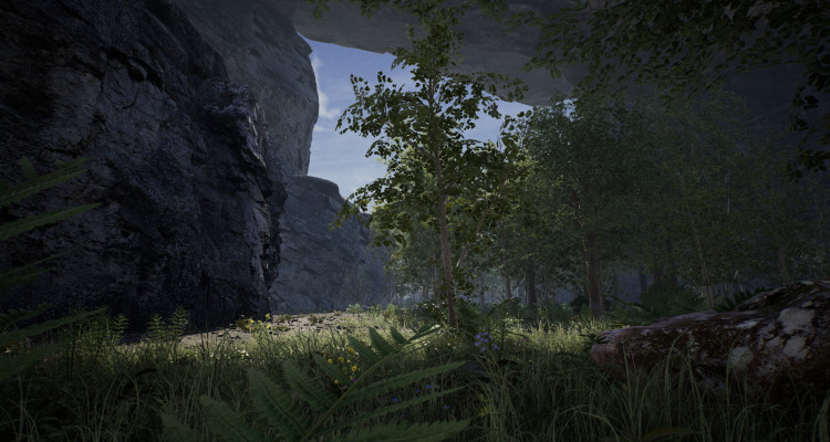 The Infected, Steam Gift