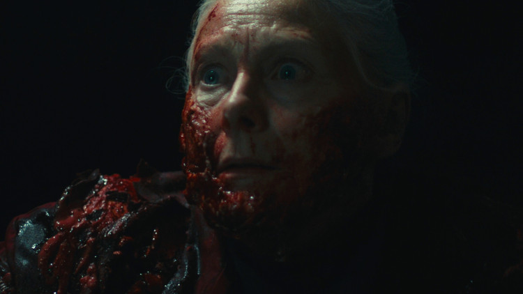 Dead Reset, Steam Gift