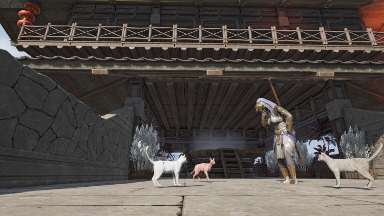 Soulmask, Steam Gift