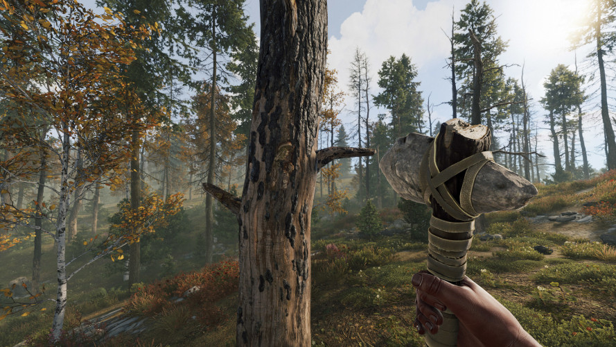 Rust, Steam Gift
