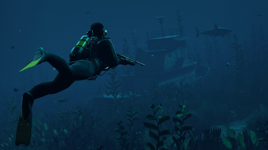 Rust, Steam Gift