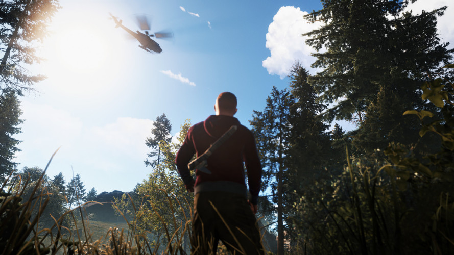 Rust, Steam Gift