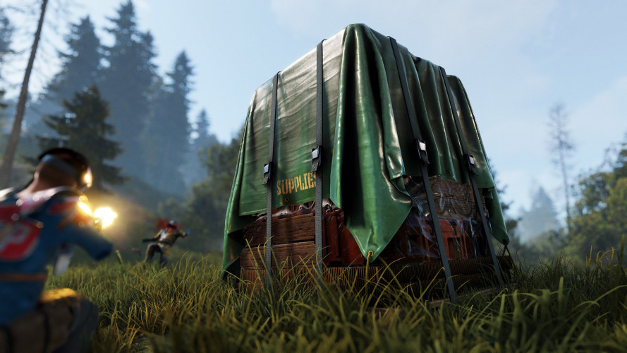 Rust, Steam Gift