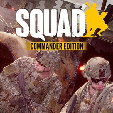 Игра SQUAD Сommander Edition для PC / ПК, активация в стим Steam для региона РФ / Россия цифровой ключ
