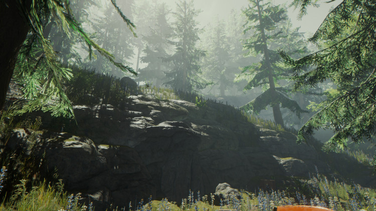The Forest, Steam Gift
