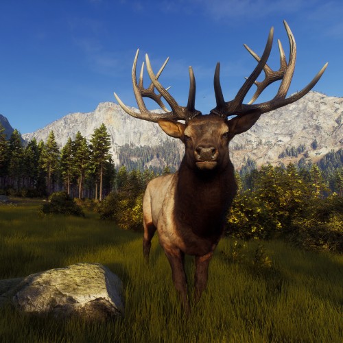 Игра Way of the Hunter PC, Steam Gift регион Россия, РФ