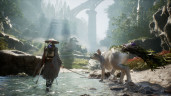 Beast of Reincarnation - Deluxe Edition, Steam Gift