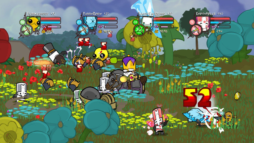 Castle Crashers, Steam Gift