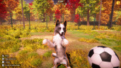 Animal Shelter 2, Steam Gift