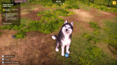 Animal Shelter 2, Steam Gift