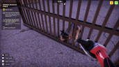 Animal Shelter 2, Steam Gift