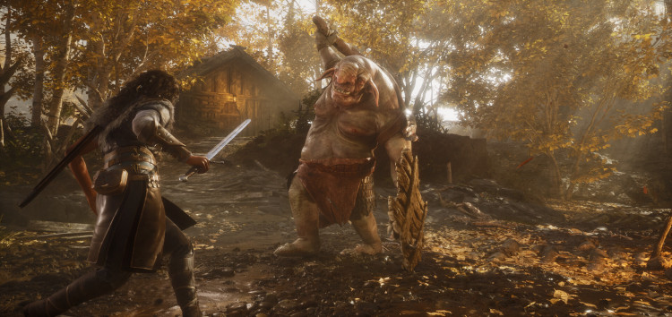 Echoes of the End: Enhanced Edition, Steam Gift