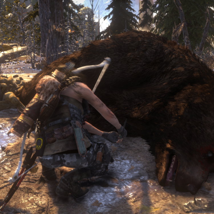 Игра Rise of the Tomb Raider: 20 Year Celebration PC, Steam Gift регион Россия, РФ