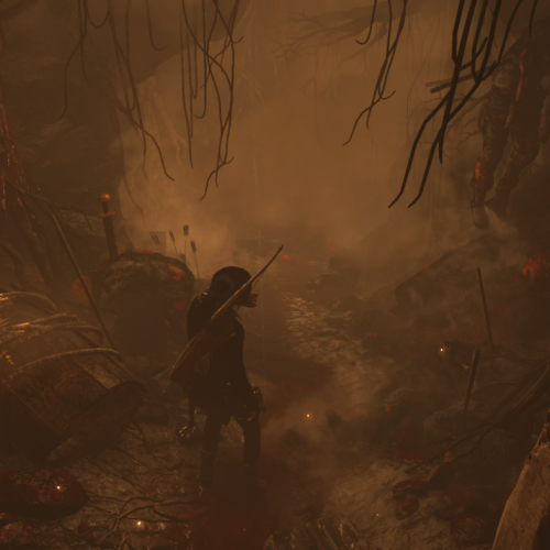 Игра Rise of the Tomb Raider: 20 Year Celebration PC, Steam Gift регион Россия, РФ