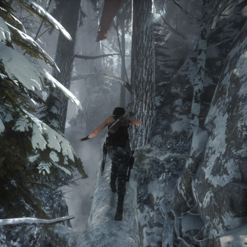 Игра Rise of the Tomb Raider: 20 Year Celebration PC, Steam Gift регион Россия, РФ