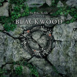 Игра The Elder Scrolls Online: Blackwood для PC / ПК, активация в стим Steam для региона РФ / Россия цифровой ключ