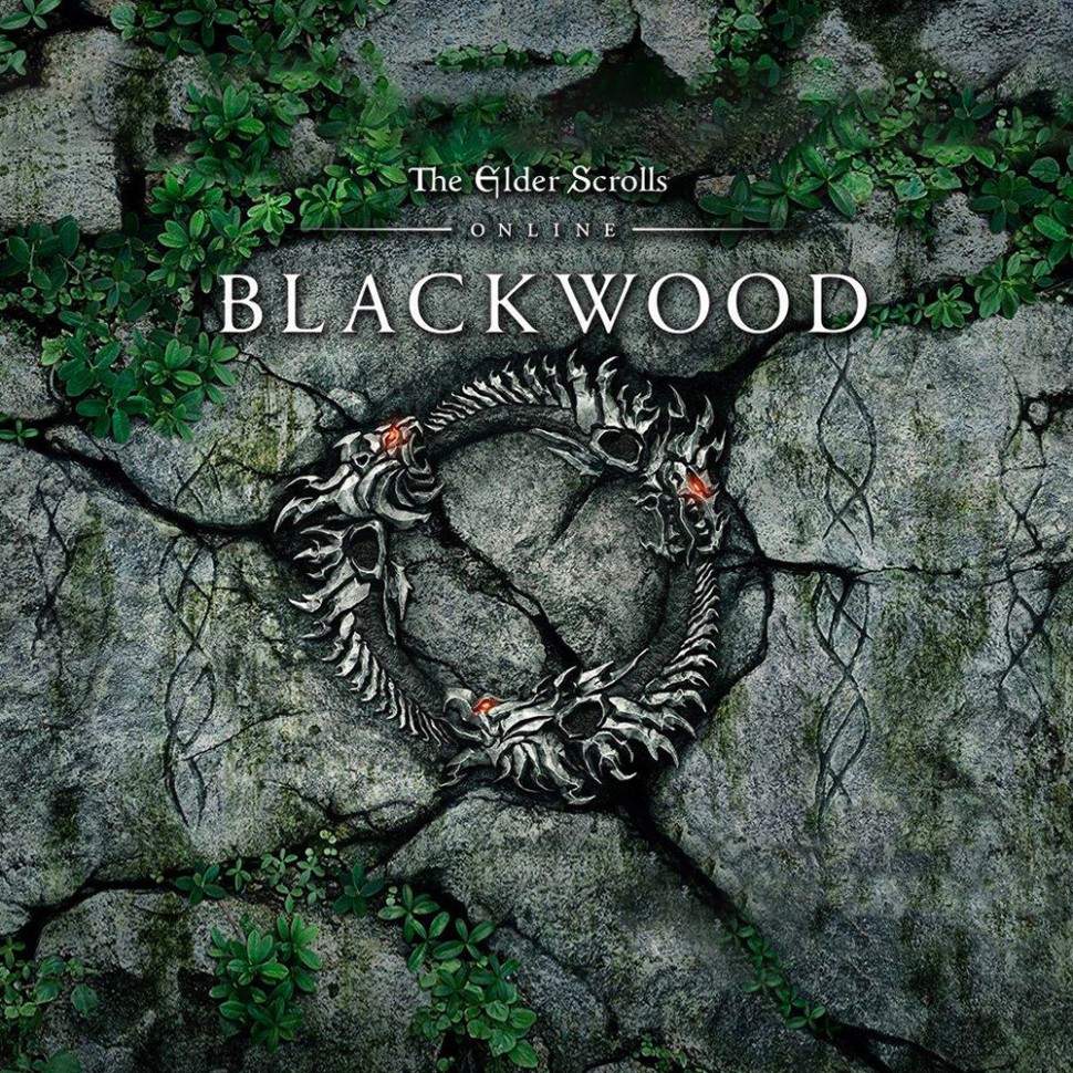 

Игра The Elder Scrolls Online: Blackwood для PC / ПК, активация в стим Steam для региона РФ / Россия цифровой ключ