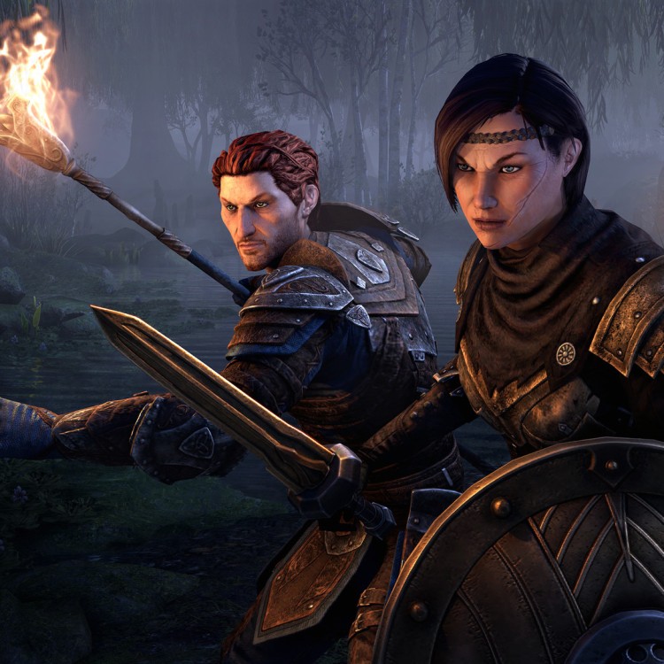 Игра The Elder Scrolls Online: Blackwood для PC / ПК, активация в стим Steam для региона РФ / Россия цифровой ключ