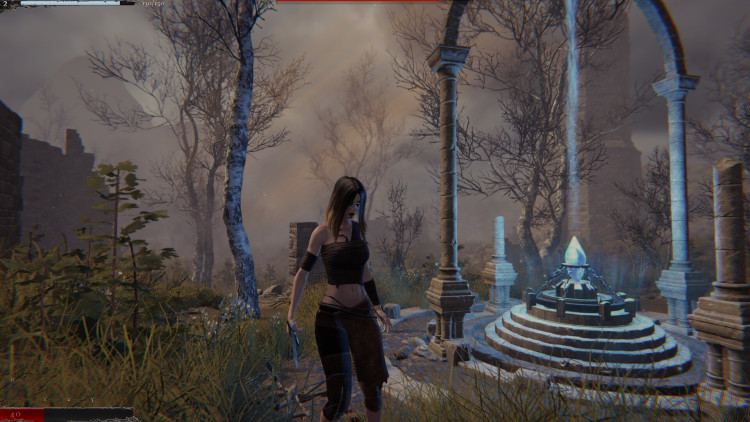 Breath of Life, Steam Gift