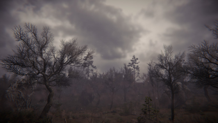 Breath of Life, Steam Gift