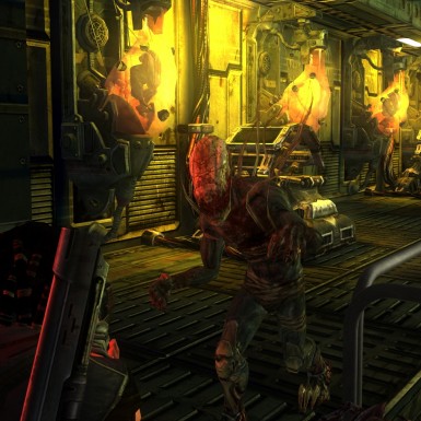 Игра Collapse PC / ПК, активация в стим Steam для региона РФ / Россия цифровой ключ