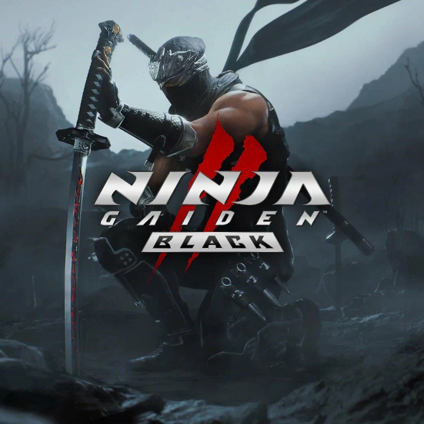 

Игра NINJA GAIDEN 2 Black PlayStation 5