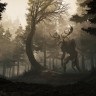 Игра GreedFall - Gold Edition PC, Steam Gift регион Россия, РФ