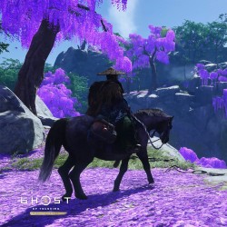 Игра GHOST OF TSUSHIMA DIRECTORS CUT для PC / ПК, активация в стим Steam для региона РФ / Россия цифровой ключ