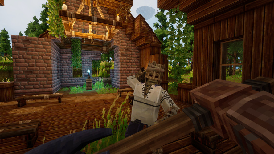 Everwind, Steam Gift