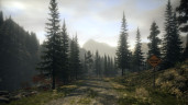 Alan Wake - Origins Bundle, Steam Gift