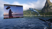 Real VR Fishing, Steam Gift